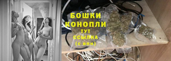 PSILOCYBIN Лихославль