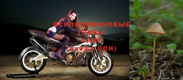 2c-b Майский