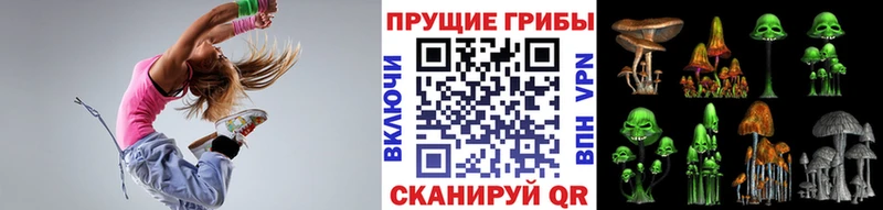 МЕГА зеркало  Лодейное Поле  Псилоцибиновые грибы Magic Shrooms 