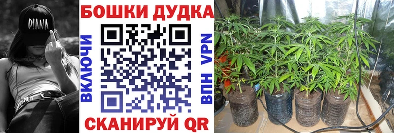 Конопля Ganja  hydra ТОР  Лодейное Поле  как найти закладки 